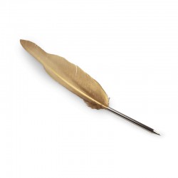 Plume Stylo Or