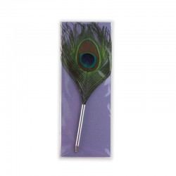 Plume Stylo Paon