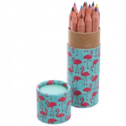 Tube de Crayons de Couleur - Flamants Roses