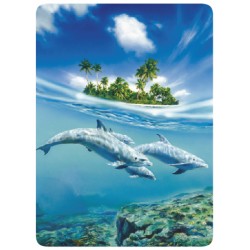 Dauphins