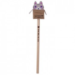 Crayon et Gomme Chat Gris dans Boîte