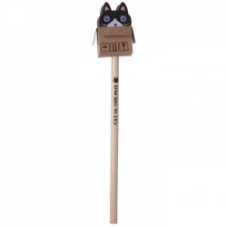 Crayon et Gomme Chat Noir dans Boîte