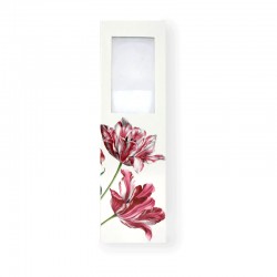 Marque Page Loupe Tulipe Merian