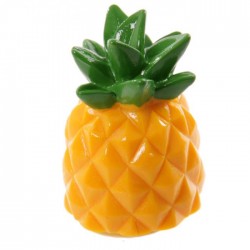 Gloss à Lèvres - Ananas