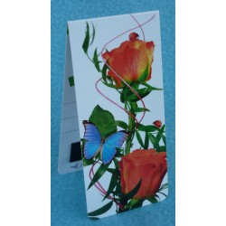 Papillon Roses Coccinelle