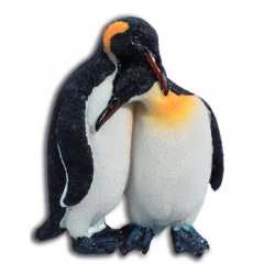 Magnet Couple Manchots