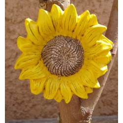 Magnet Tournesol