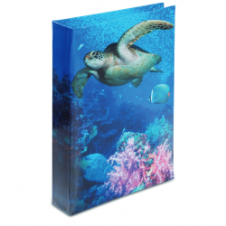 Journal Intime Tortue 1