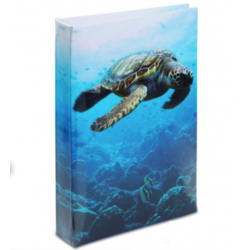 Journal Intime Tortue 