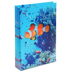 Journal Intime Poisson Clown