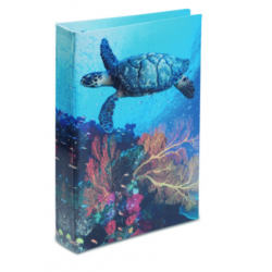 Journal Intime Tortue 3