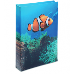 Journal Intime Poisson Clown 2