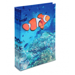 Journal Intime Poisson Clown 3