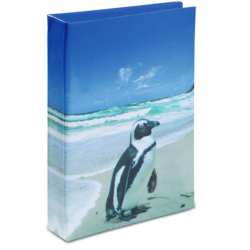 Journal Intime Manchot du Cap 2