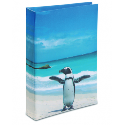 Journal Intime Manchot du Cap 3