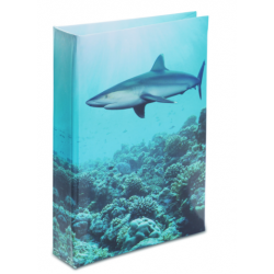 Journal Intime Requin 