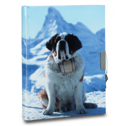 Journal Intime Saint Bernard
