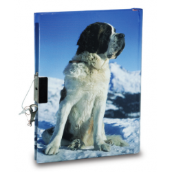 Journal Intime Saint Bernard 