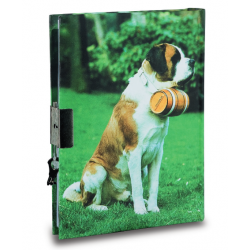 Journal Intime Saint Bernard 