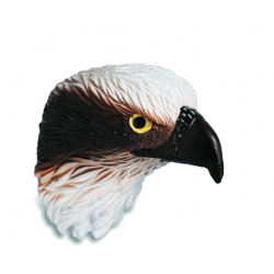 Magnet Tête d'Aigle 