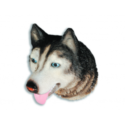 Magnet Husky