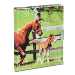 Journal Intime Cheval 2