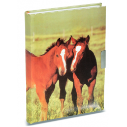 Journal Intime Cheval 3