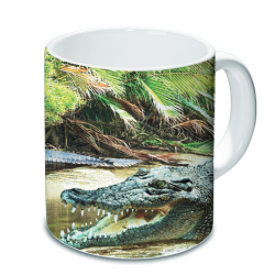 Mug Aigle