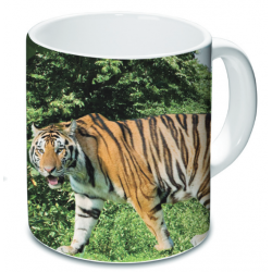 Mug Tigre