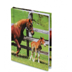 Répertoire Cheval 1