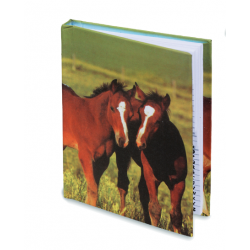 Répertoire Cheval 2