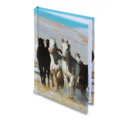 Répertoire Cheval 3