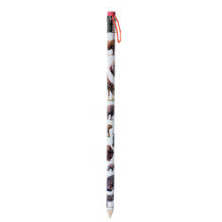 Crayon Géant Jungle & Savane + gomme