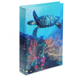 Répertoire Tortue 1