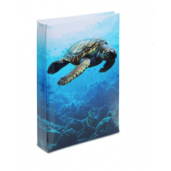 Répertoire Tortue 3