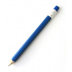 Stylo à Bille en Bois Bleu