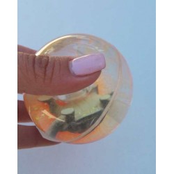 Balle Rebondissante Lumineuse Tortue (Orange)