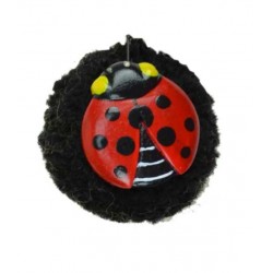 Magnet Pompon Coccinelle Bois