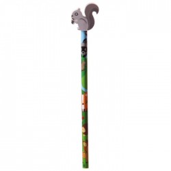 Crayon et Gomme Ecureuil - Animaux de la Forêt