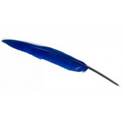 Plume Stylo Bleu Marine