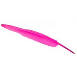 Plume Stylo Rose Fushia