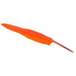 Plume Stylo Orange
