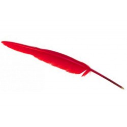 Plume Stylo Rouge