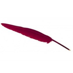 Plume Stylo Aubergine (Bordeaux)