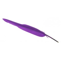 Plume Stylo Lavande