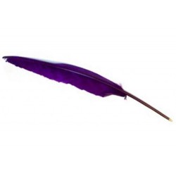 Plume Stylo Violet