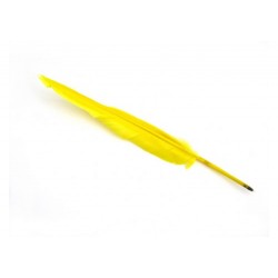 Plume Stylo Jaune Vif