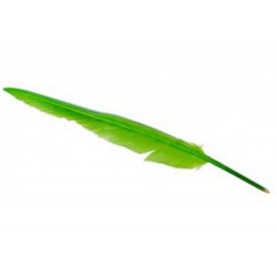 Plume Stylo Vert