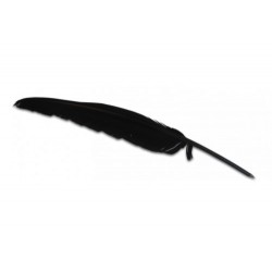 Plume Stylo Noir
