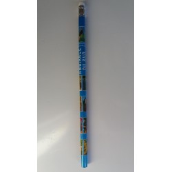 Crayon Gomme Souvenir "Ambiance du Sud"